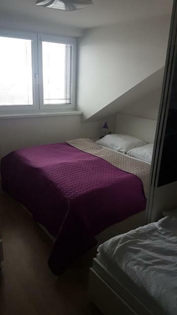 Apartmany Долни-Морава Экстерьер фото